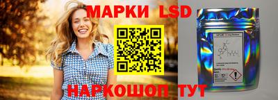 шишки Аргун