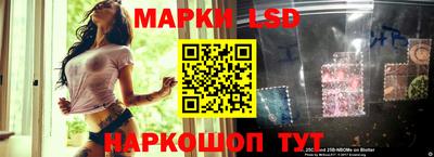 шишки Аргун