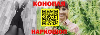 шишки Аргун