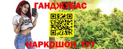 шишки Аргун