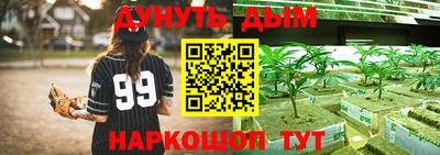 хмурый Гусь-Хрустальный