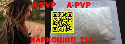 шишки Аргун