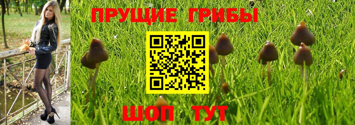 Псилоцибиновые грибы мухоморы Бийск